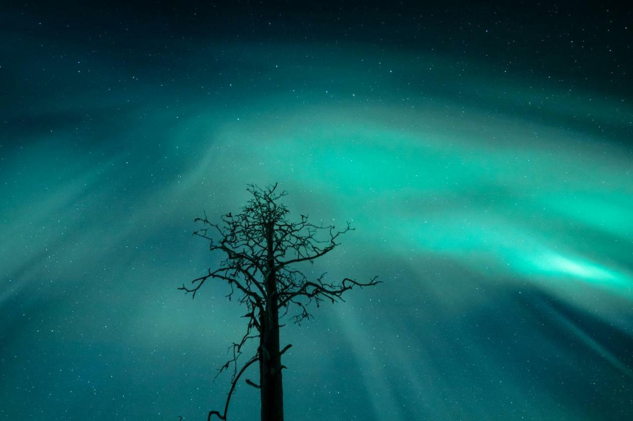 Lapland Hotels Snowvillage Ylläsjärvi Екстериор снимка